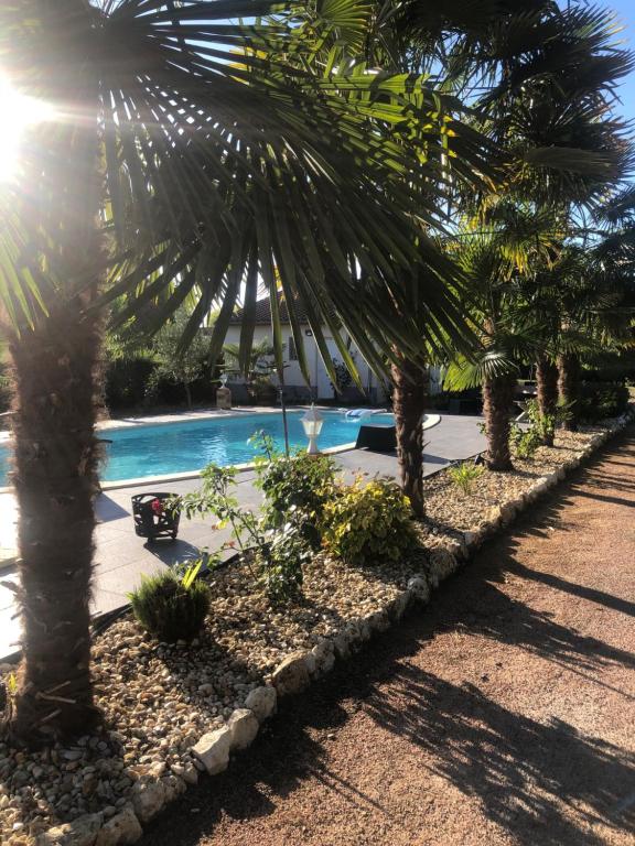 贝尔热拉克Villa Bergerac avec Piscine的一排棕榈树和一个游泳池