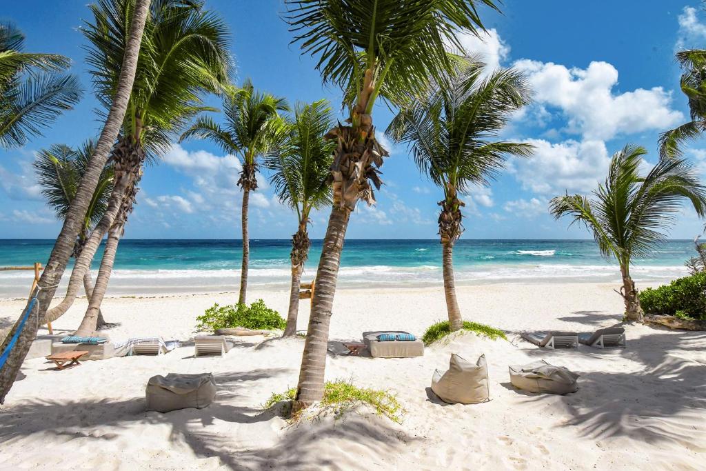 图卢姆Cabanas Tulum- Beach Hotel & Spa的棕榈树和海洋的沙滩