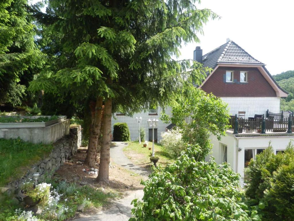 BlankensteinApartment in Blankenstein 3167的前面有一棵树的白色房子