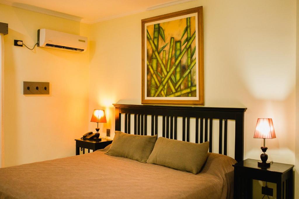 Puerto EldoradoHotel Che Roga的一间卧室配有一张带两盏灯和一幅画的床铺