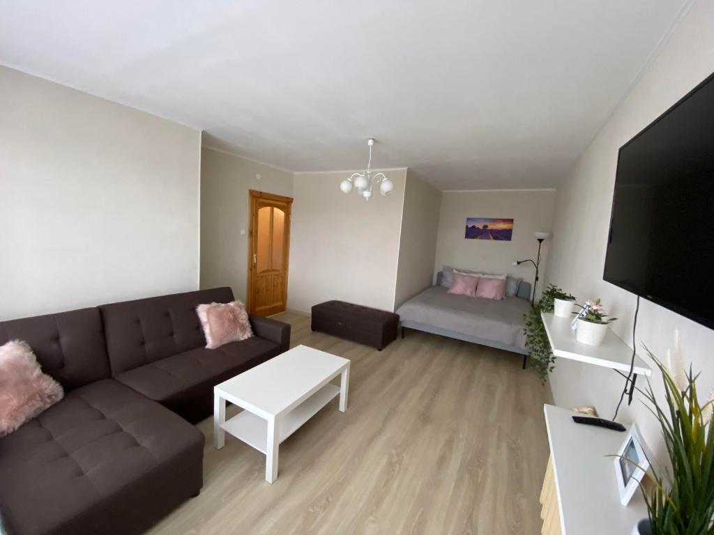 阿卢克斯内Apes ielas apartaments的客厅配有沙发和1张床