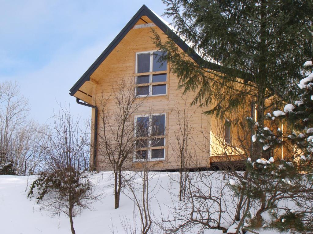 ŁabowaDomek nad stawem的雪中的房子,前面有树木
