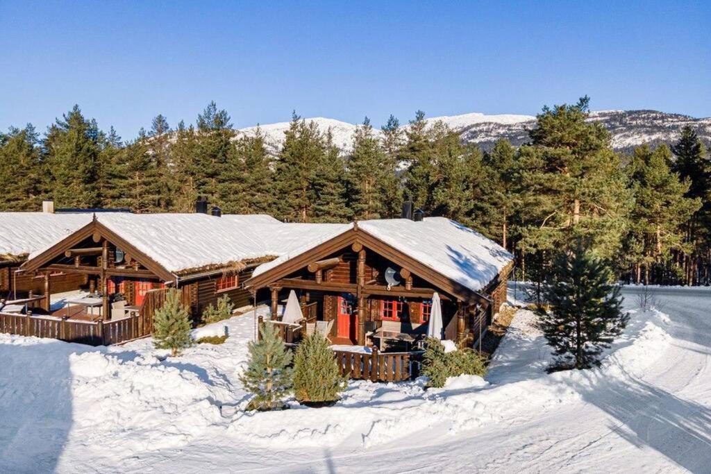 弗罗达尔100m lift, 2 min swim - Large family cabin的一座大木屋,下雪,有树