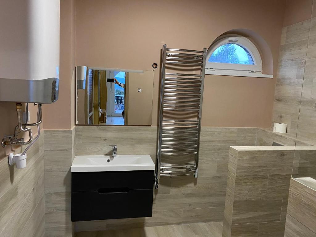 欧尔菲Anita Apartmanház的一间带水槽和镜子的浴室