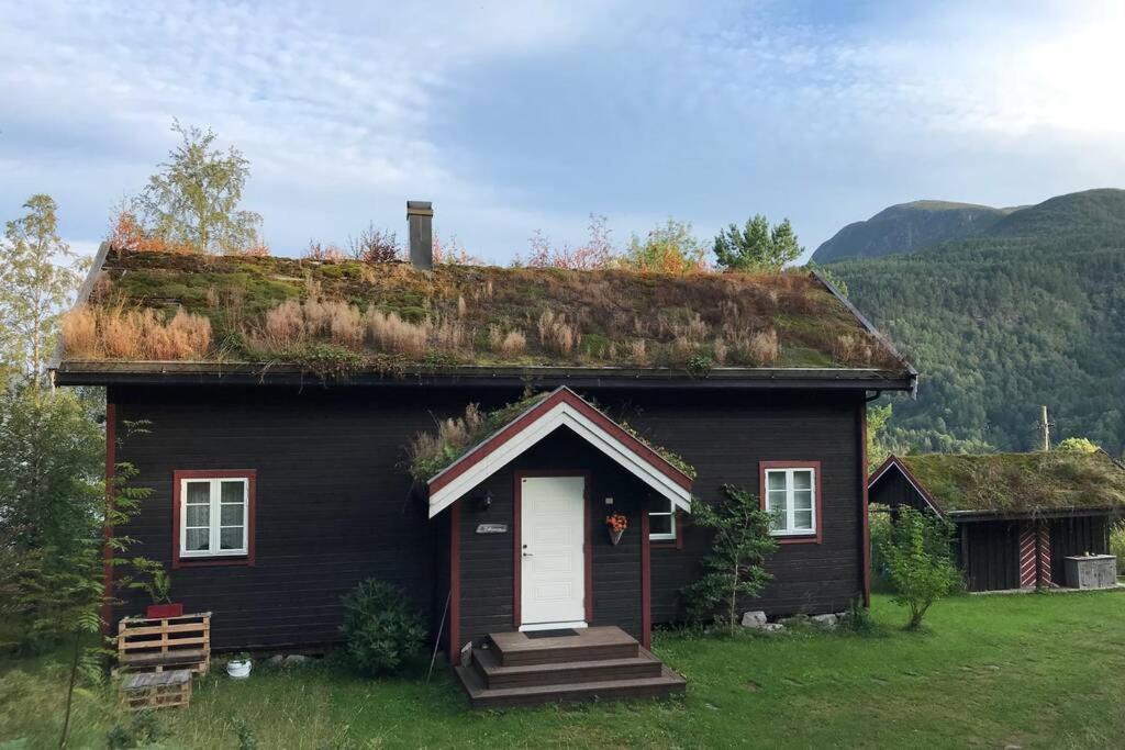 ValsøybotnKoselig, varmt hus i Valsøybotn的一座带草屋顶的黑色房子