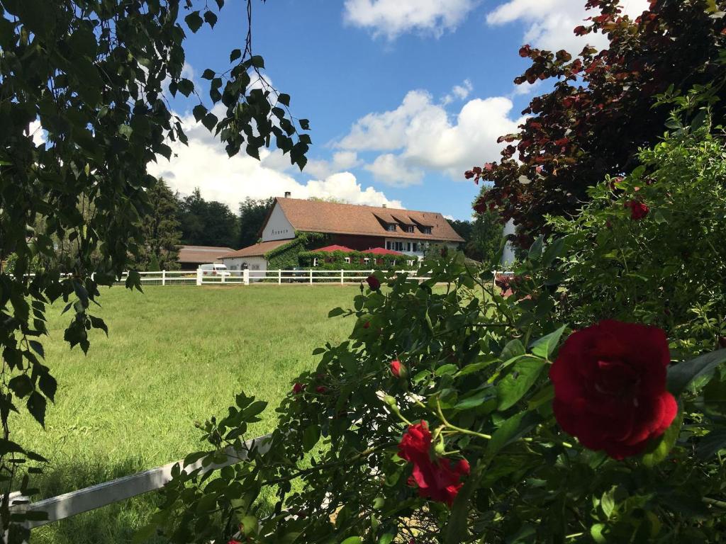 DettighofenHofgut Albführen的一座带白色围栏和玫瑰田的房子