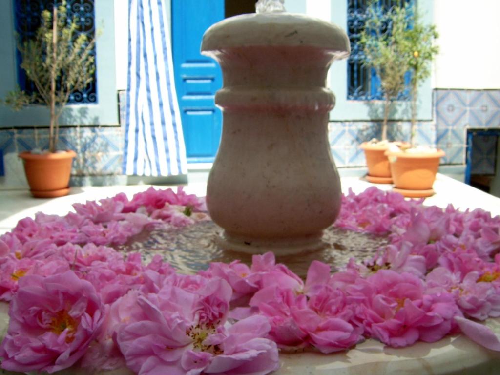 苏塞达尔巴兹兹酒店的花瓶和桌子上的粉红色花