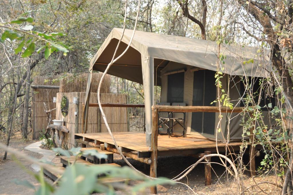 ShakaweASKIESBOS - Samochima Bush Camp的树林中带门廊的小建筑