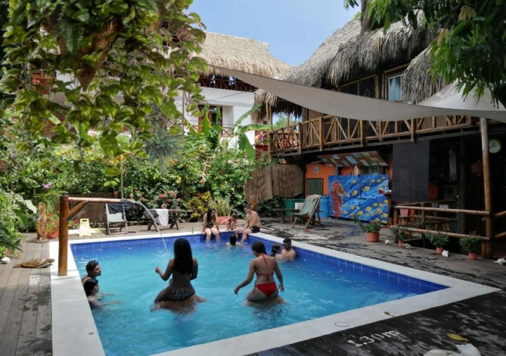 帕洛米诺La Natura Hostel & Pool的一群人在度假村的游泳池里