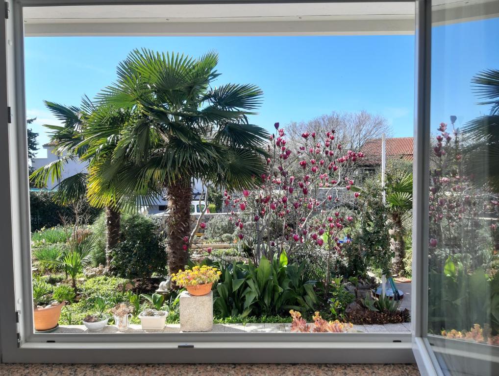克尔克Apartments Summer Bloom的花园植物景窗户