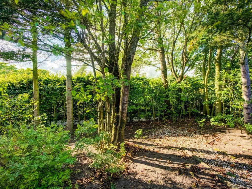 stegeren  酒店 quaint chalet in stegeren near forest (木屋)(荷兰