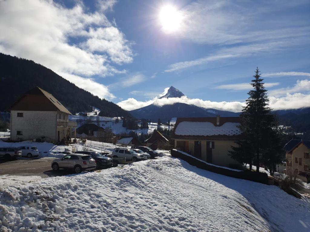 圣皮耶尔德沙尔特勒斯Le Bois Joli的一个有雪盖的停车场,后方是一座山