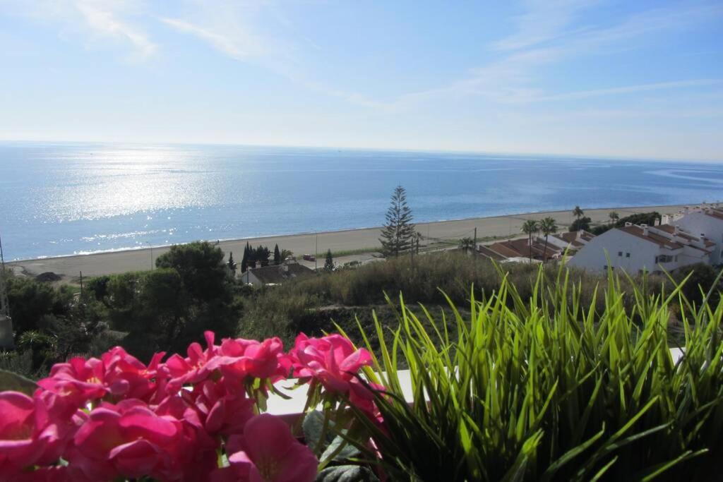 贝纳哈拉菲Paraiso del Sol II的享有粉红色花卉海滩的美景