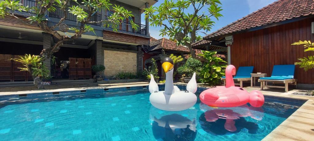 罗威那格纳什至尊酒店的一座房子里有两个充气天鹅的游泳池