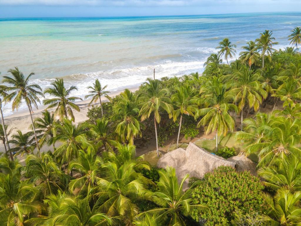 帕洛米诺Hotel Casalina的享有棕榈树海滩和大海的空中景致