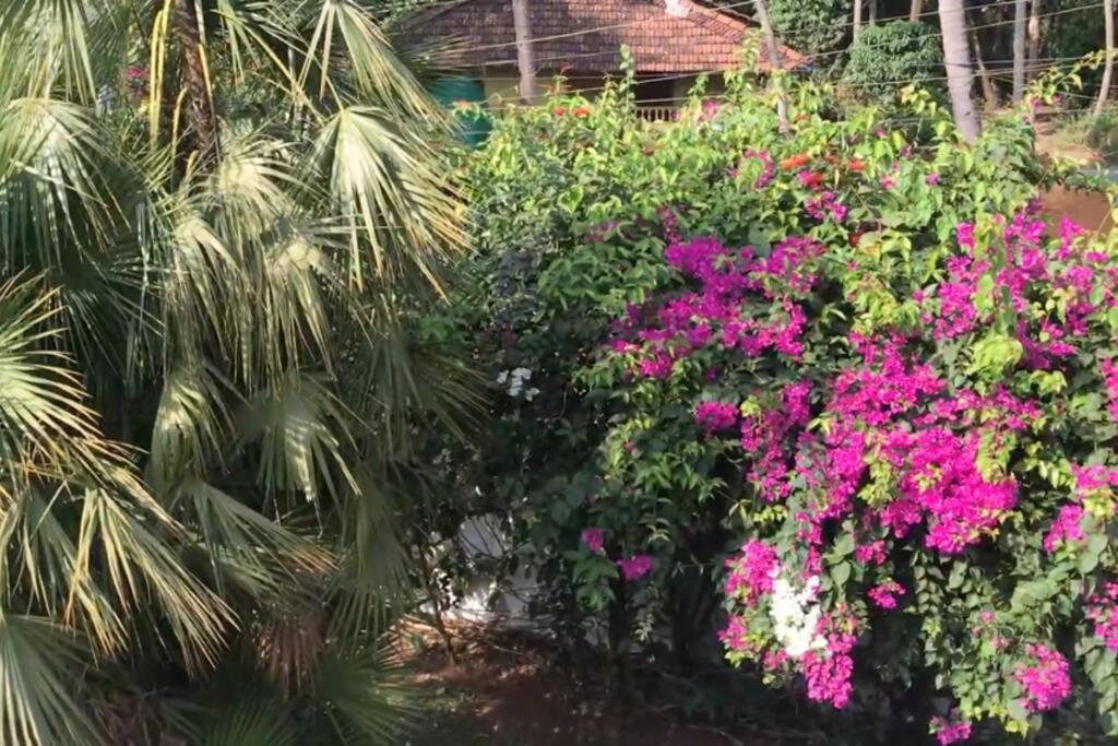 莫尔穆冈1BHK Luxury Homestay In Betalbatim South Goa 1km from the Beach的种有粉红色花卉和棕榈树的花园