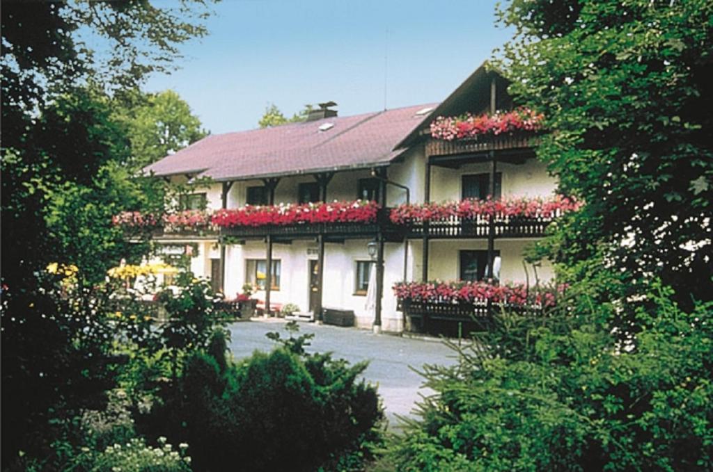 布兰德Landhaus-Pension Zum Waffenschmied的阳台上的红色鲜花房子