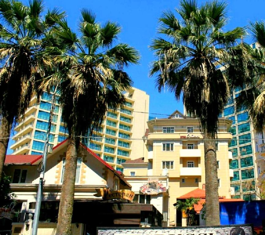 索契Sunlion Баунти Hotel的一群棕榈树在一座建筑前