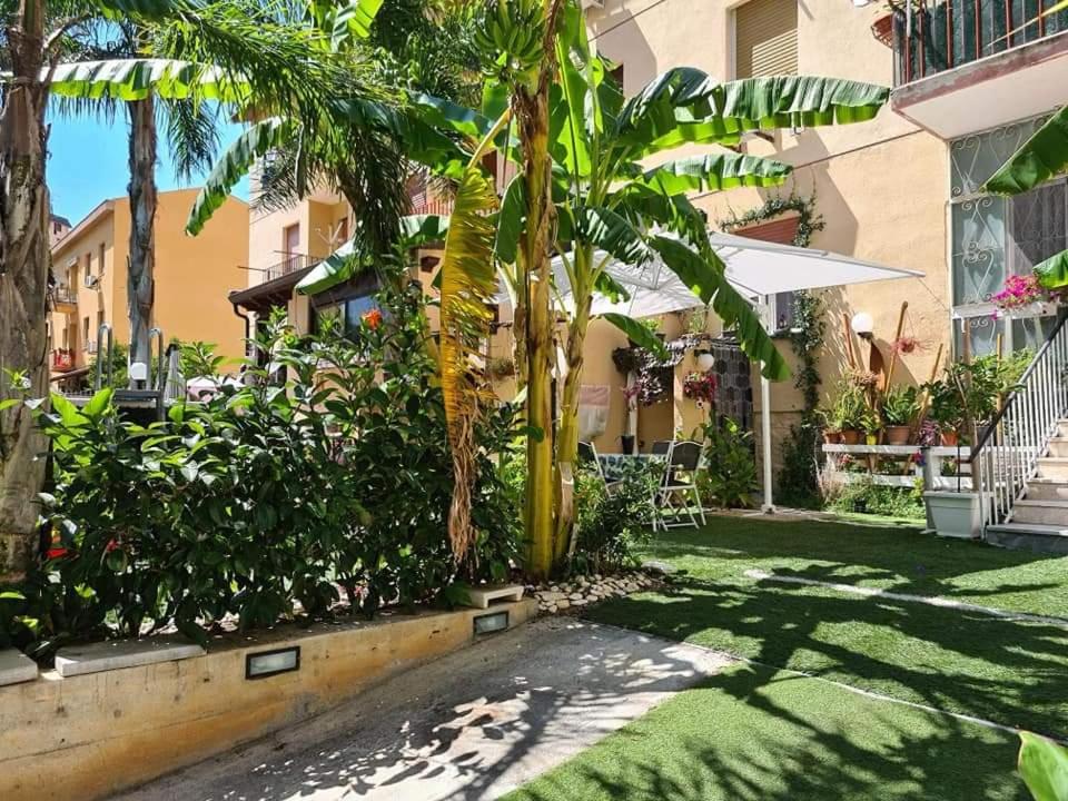 巴勒莫Casa Le Rose的棕榈树庭院和建筑