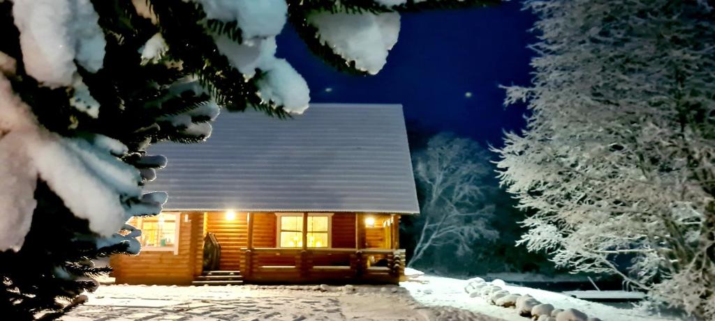 奥泰佩Lombi Holiday House的雪中的一个小木屋