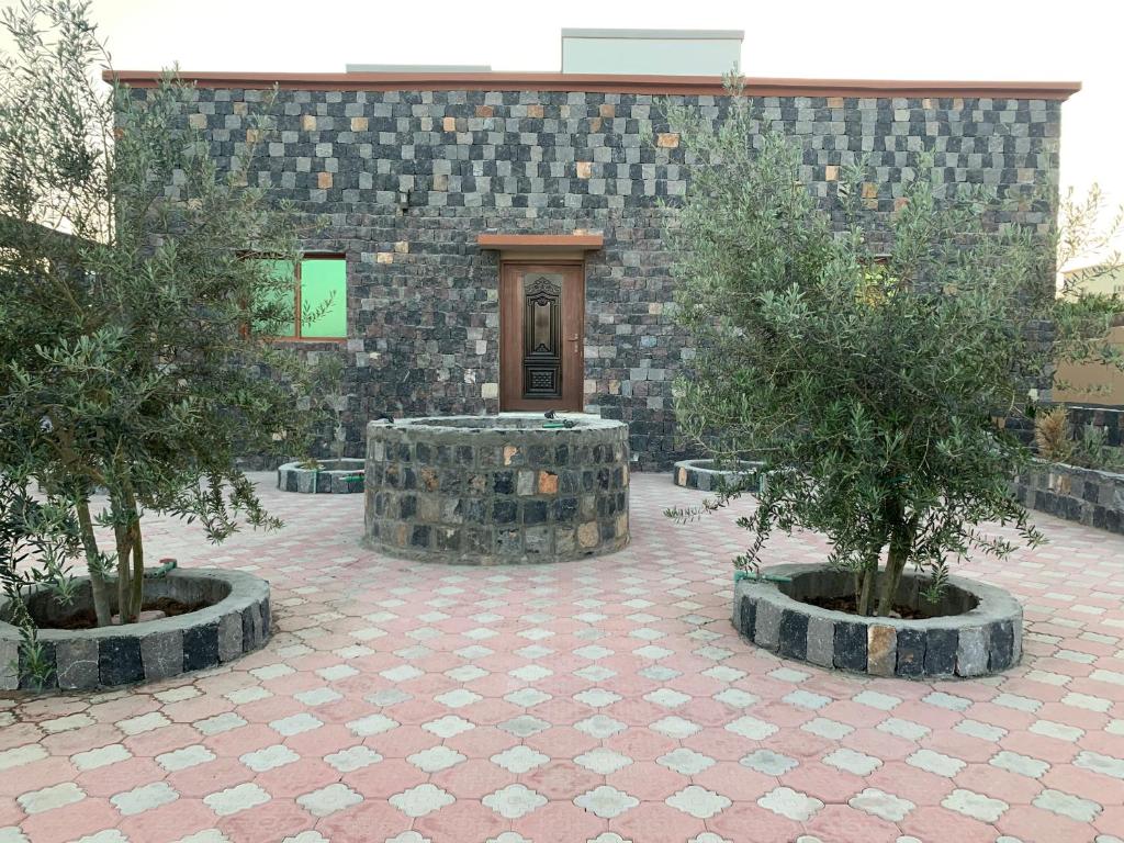 Al ‘AqarAljabal Al Akhdar Olive Tree Guest house的建筑物前两棵树在盆里