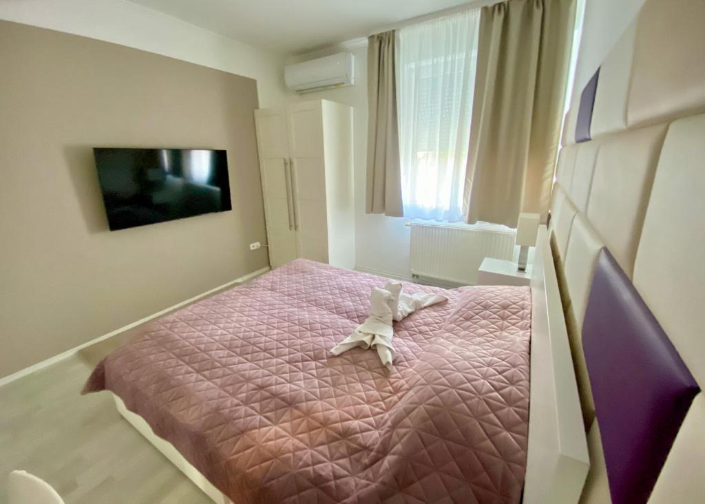 巴拉顿菲赖德Bonita Apartman & Garage的一间卧室配有粉红色的床和电视