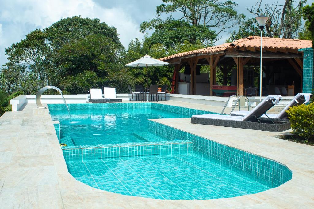 佩雷拉Cotinga Hotel Spa的一座铺有蓝色瓷砖的大型游泳池