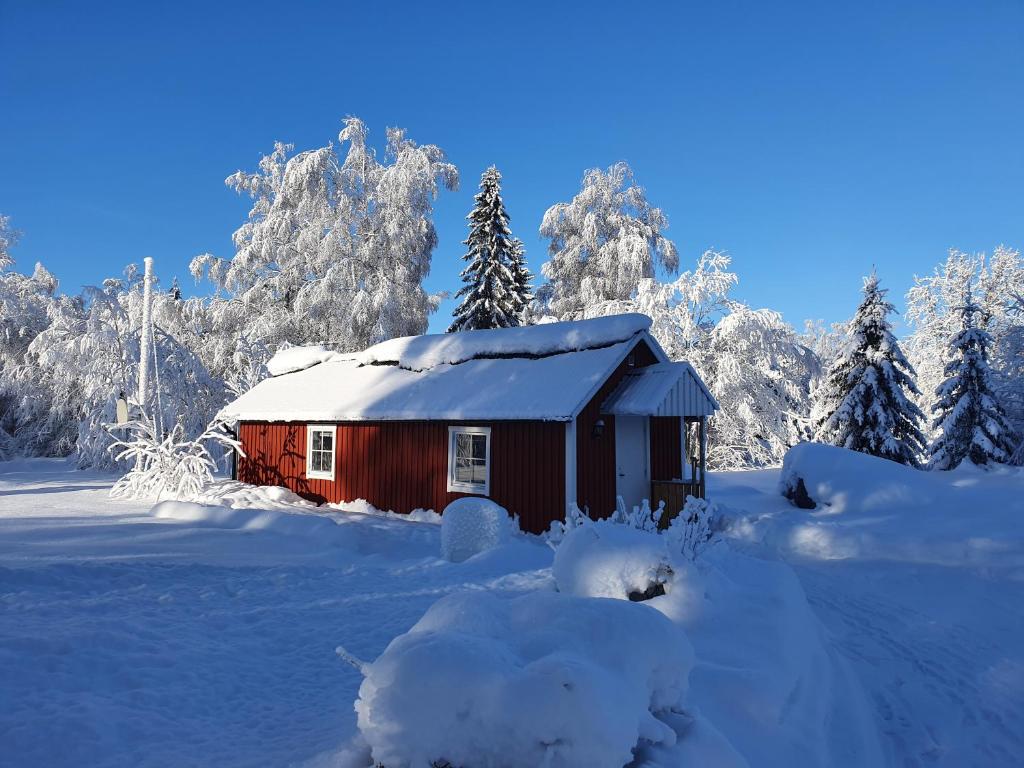 HammarstrandGuesthouse 'Lodge Lagom' ~ Hammarstrand-Jämtland的雪中的一个红色小屋,有雪覆盖的树木