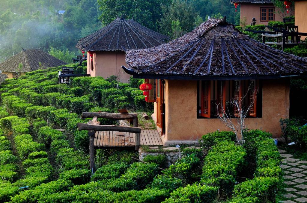 Ban Rak Thai李万尼卢克泰度假酒店的绿色灌木丛中的一个小房子