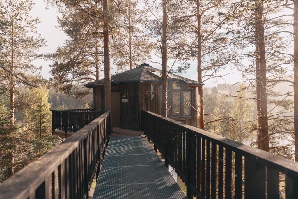 GranönGranö Beckasin的桥上树林里的树屋