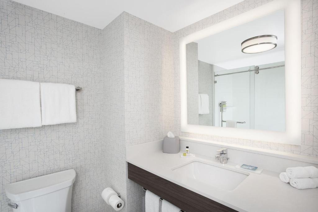 渥太华机场智选假日套房酒店 的一间浴室