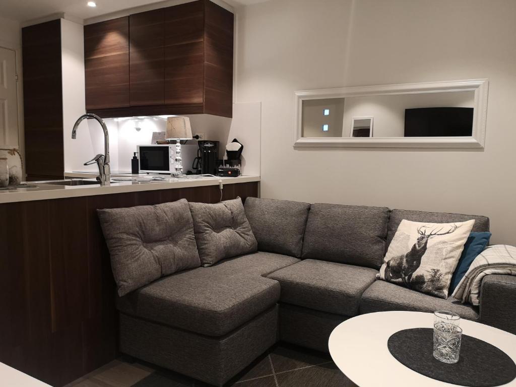特罗姆瑟Meilbo Tromsø的带沙发的客厅和厨房