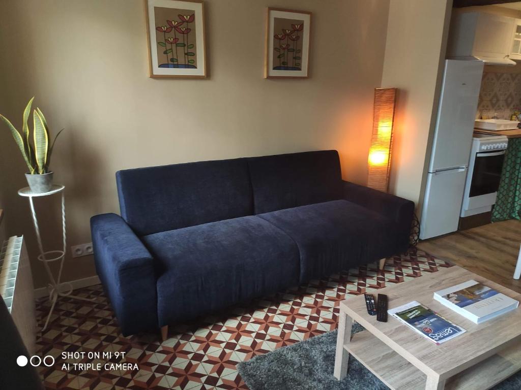 卡尔卡松La petite maison dans la bastide的客厅配有一张蓝色的沙发,配有一张桌子