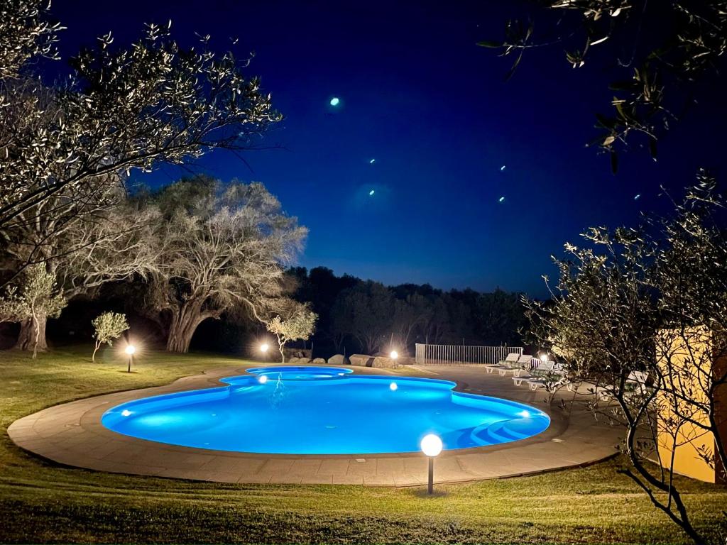 阿尔扎凯纳Punta D'Acu Country Resort的夜间大型蓝色游泳池