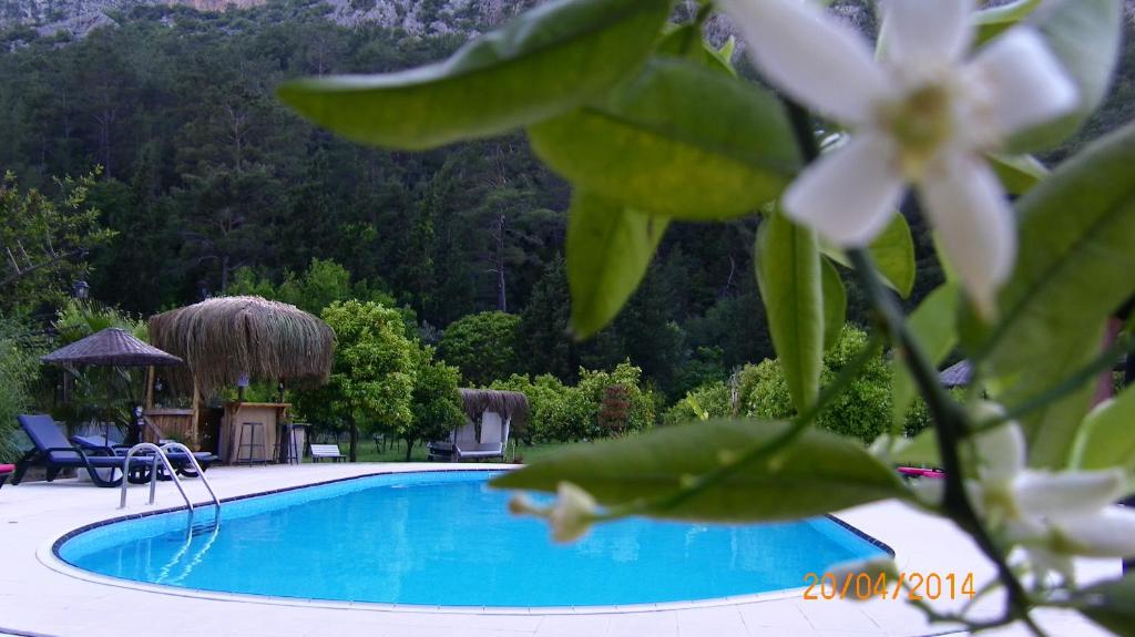 契拉勒Portalimo Lodge Hotel - Adult Only +12的山景游泳池