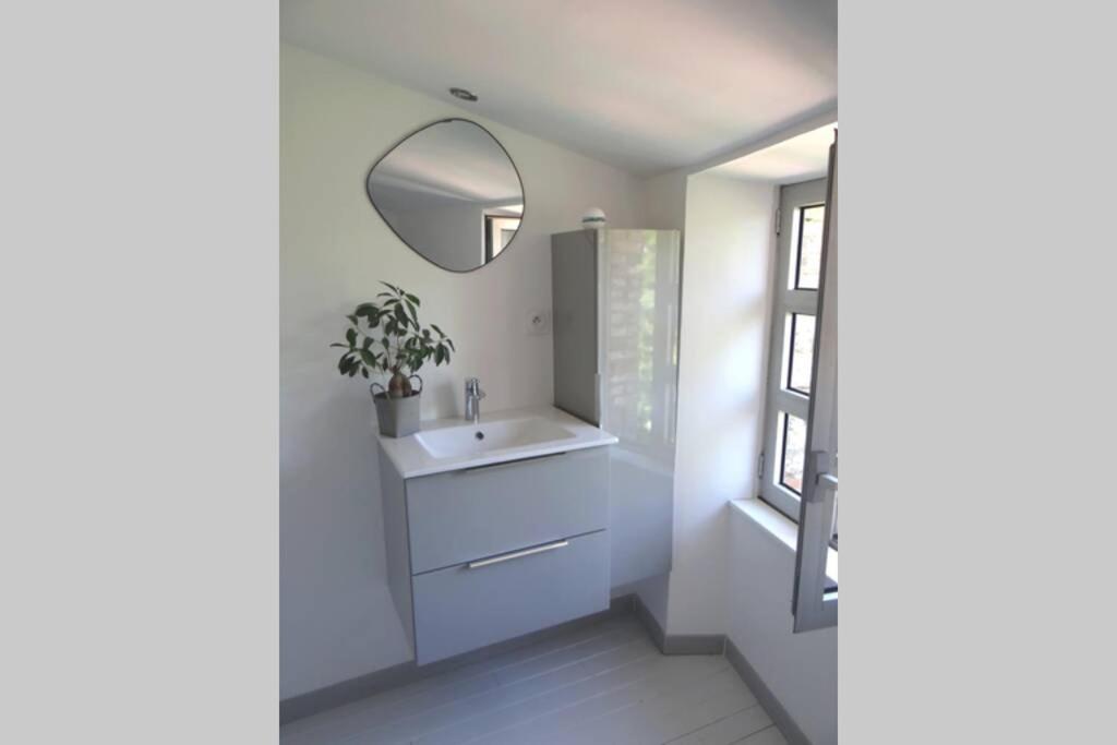 MouchampsLe 19 Rue **,Maison de charme proche du Puy du Fou的一间带水槽和镜子的浴室
