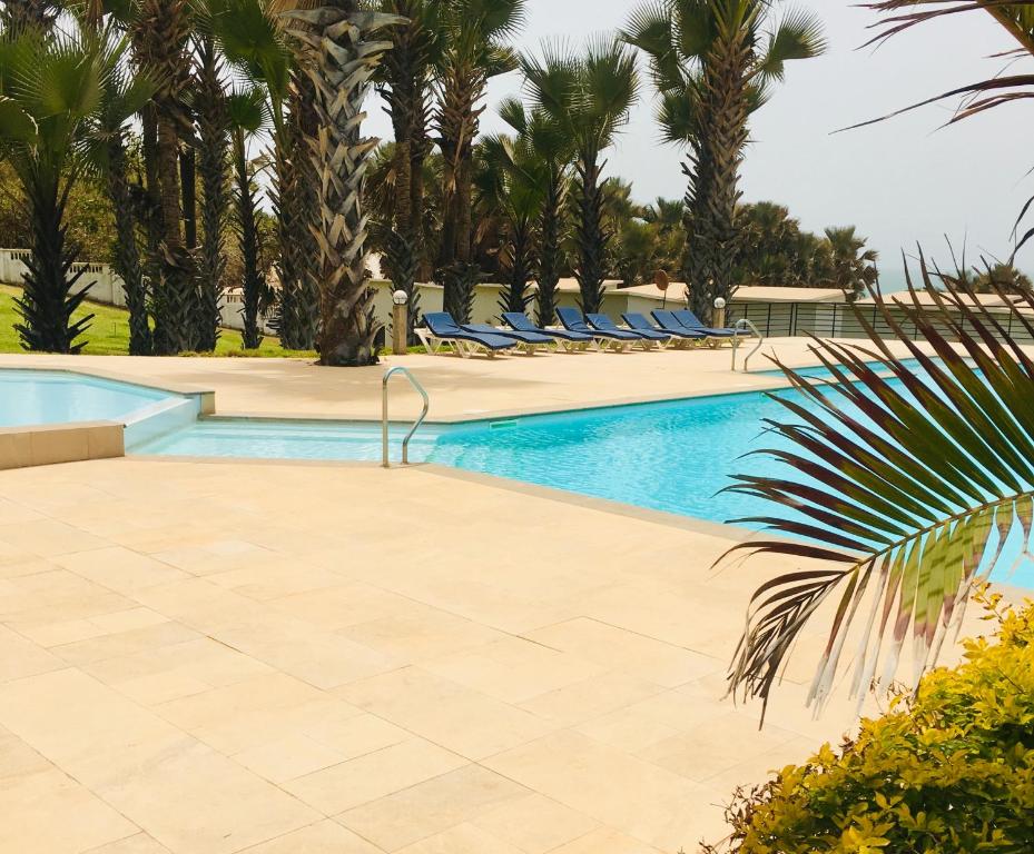 班珠尔Gambia Seafront Central的一座拥有棕榈树和蓝色躺椅的游泳池