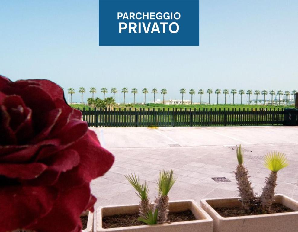 巴列塔La Palma Del Sol的 ⁇ 前的红花
