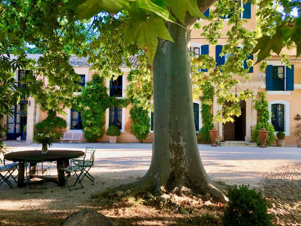 勒托尔Bastide du régent的桌子和一棵树在建筑物前