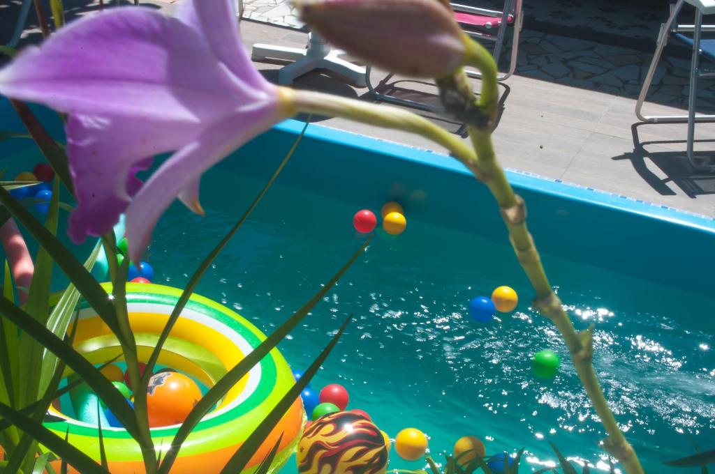 皮涅拉Pousada Mar Aberto Pinheira的游泳池里放着一堆球