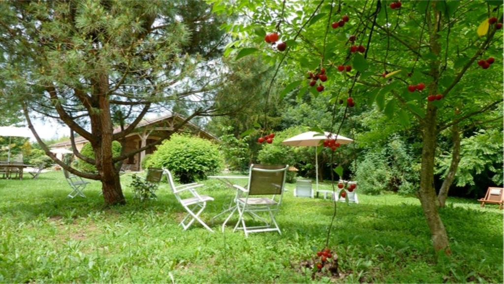 Pinel-Hauterive拉卡斯塔都提瓦住宿加早餐旅馆的庭院配有两把椅子和一张桌子以及一把雨伞