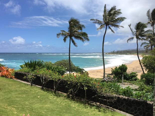 卡帕阿Wailua Bay View Resort的享有棕榈树海滩和大海的景色