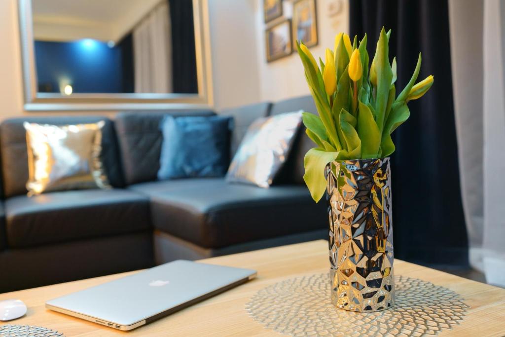 考斯赛力克Apartament Oaza的客厅里带花的花瓶