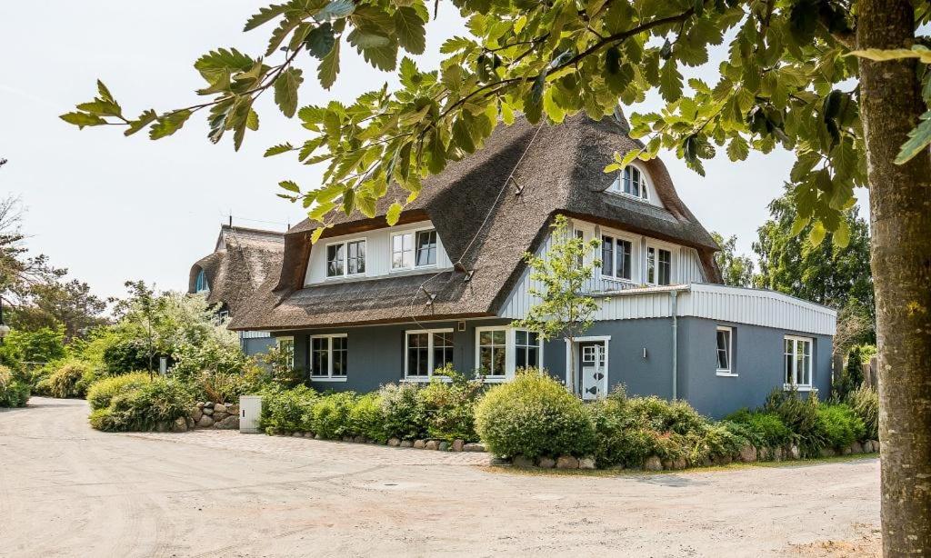 维克Freischwimmer的一座带茅草屋顶的大型蓝色房屋