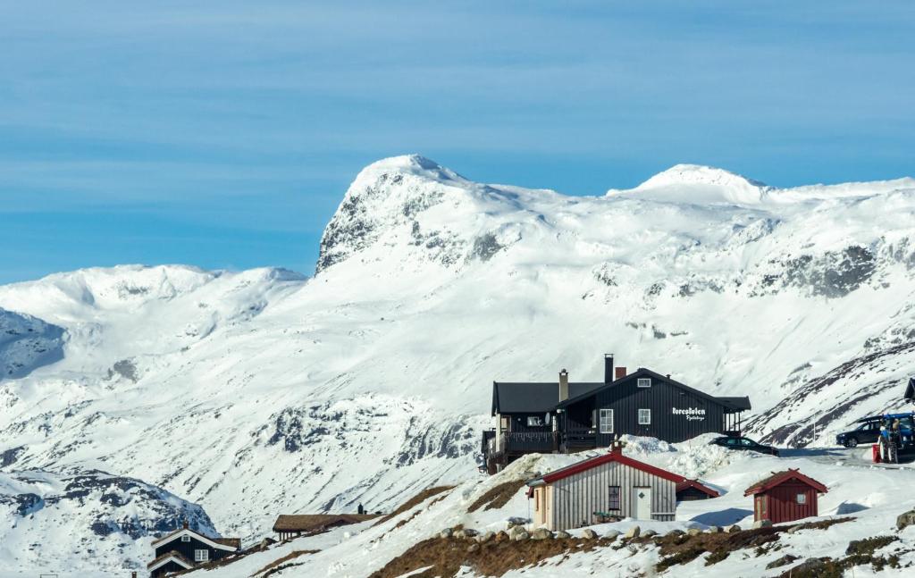 HovetStorestølen Fjellhotell的雪覆盖的山顶上的房子