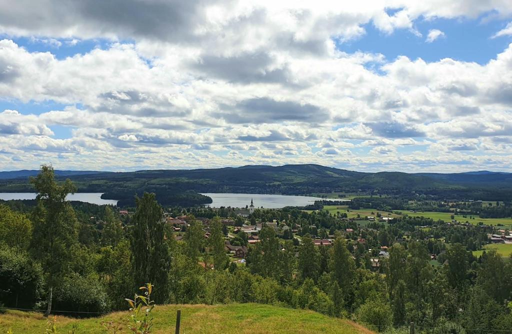 SiljansnäsSiljansnäs Stugby & Resort的享有小镇和湖泊的山丘美景