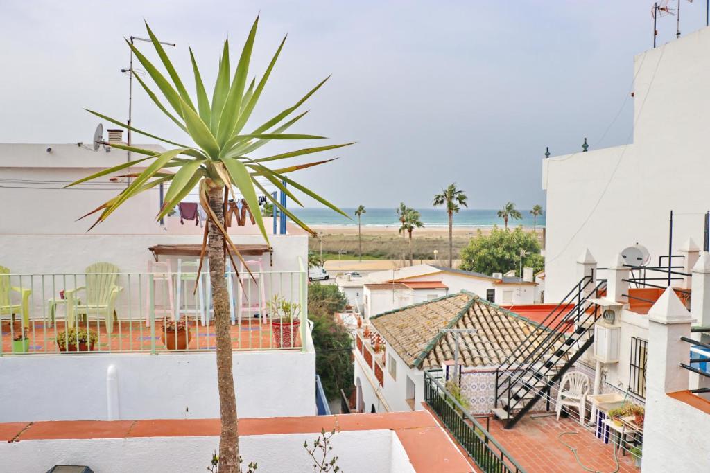 科尼尔-德拉弗龙特拉Habitación Cañaveral Playa Conil II的建筑屋顶上的棕榈树