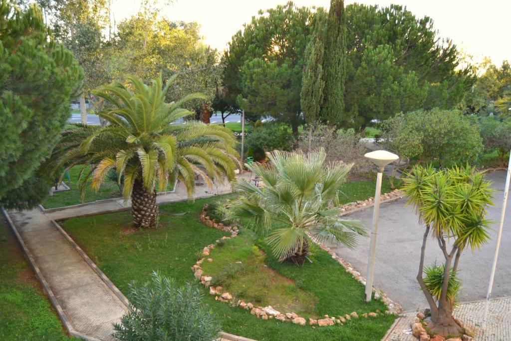 维拉摩拉杏仁公园酒店的种有棕榈树和街灯的花园