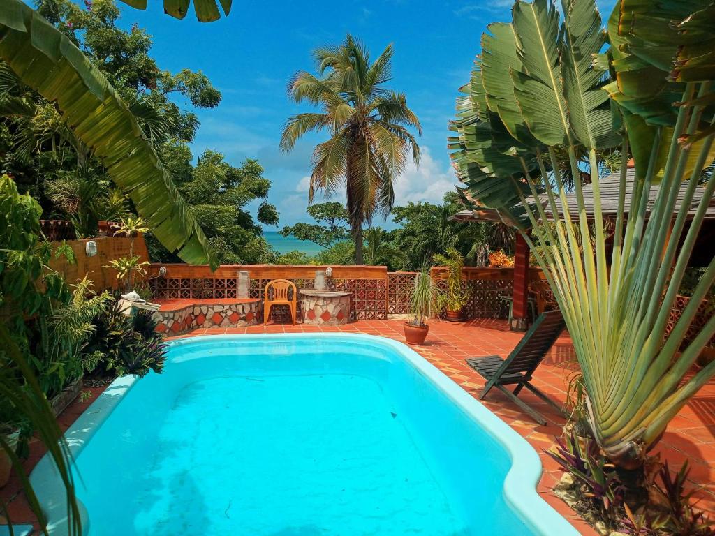 雅克南Casa da Lua的棕榈树后院的游泳池