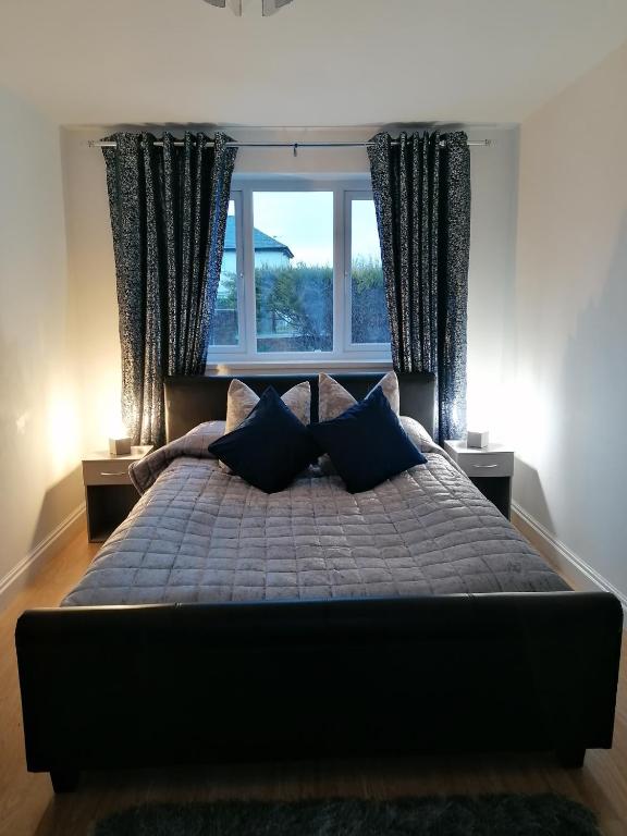 威德尼斯Chota Gher Apartment的卧室配有一张带蓝色枕头的床,卧室设有窗户